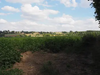 Kwaremont (Belgium)